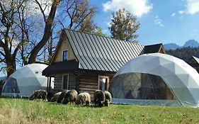 Glamp Iglo Siedlisko Kościelisko